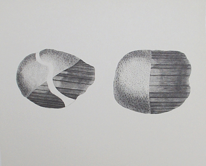'Boulders from River Tilt, Tayside'