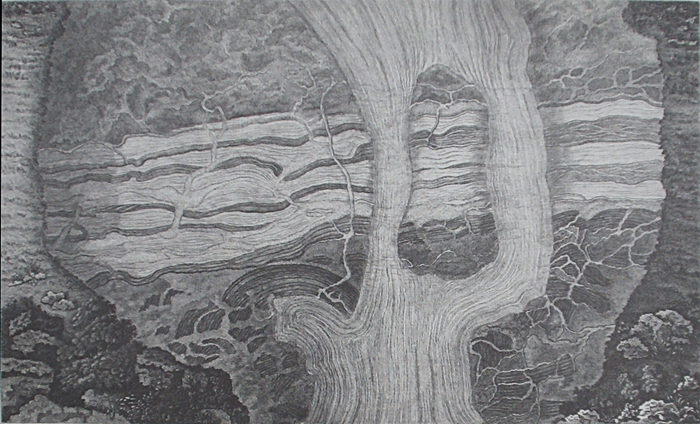 'Boulders from River Tilt, Tayside'