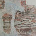 'Map of dykes cutting strata, Fairlie, Firth of Clyde, Strathclyde'